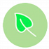 Ecologicamente<br/>Correta